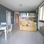 Apartment Full Of Colour